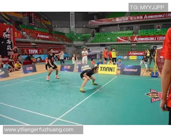 深入分析成都排球队防守策略与战术特点的专业解读